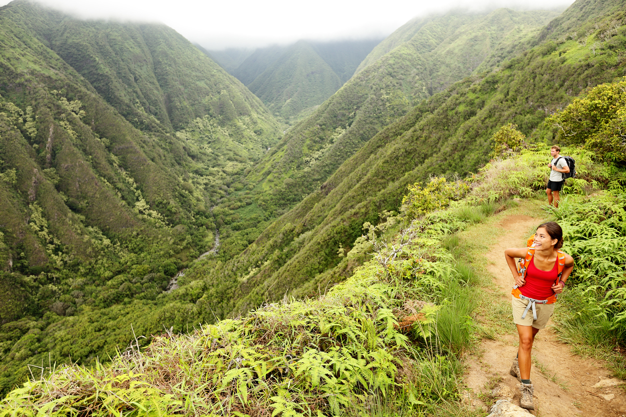Two hikers on a lush mountain trail overlooking a green valley.
