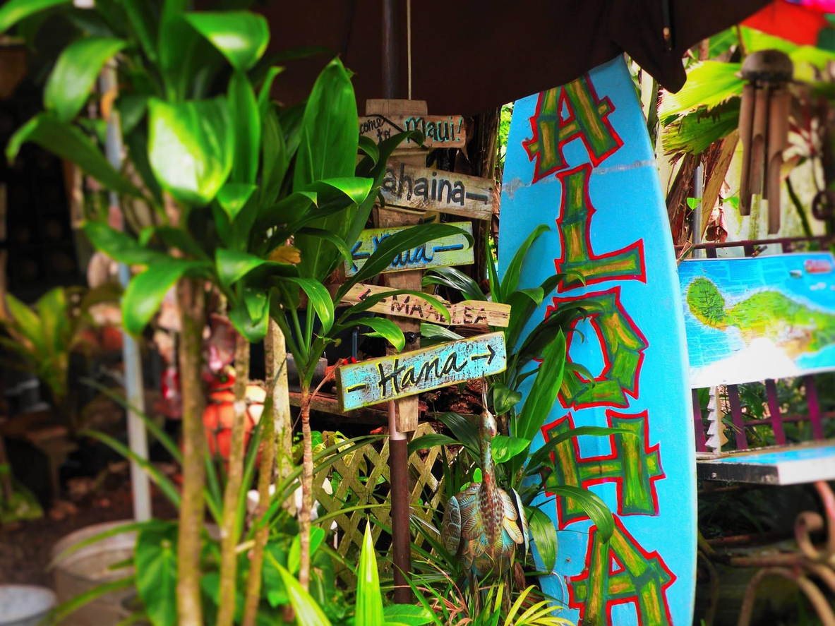 Tropical plants and a blue surfboard with 'Aloha' text, surrounded by wooden direction signs.