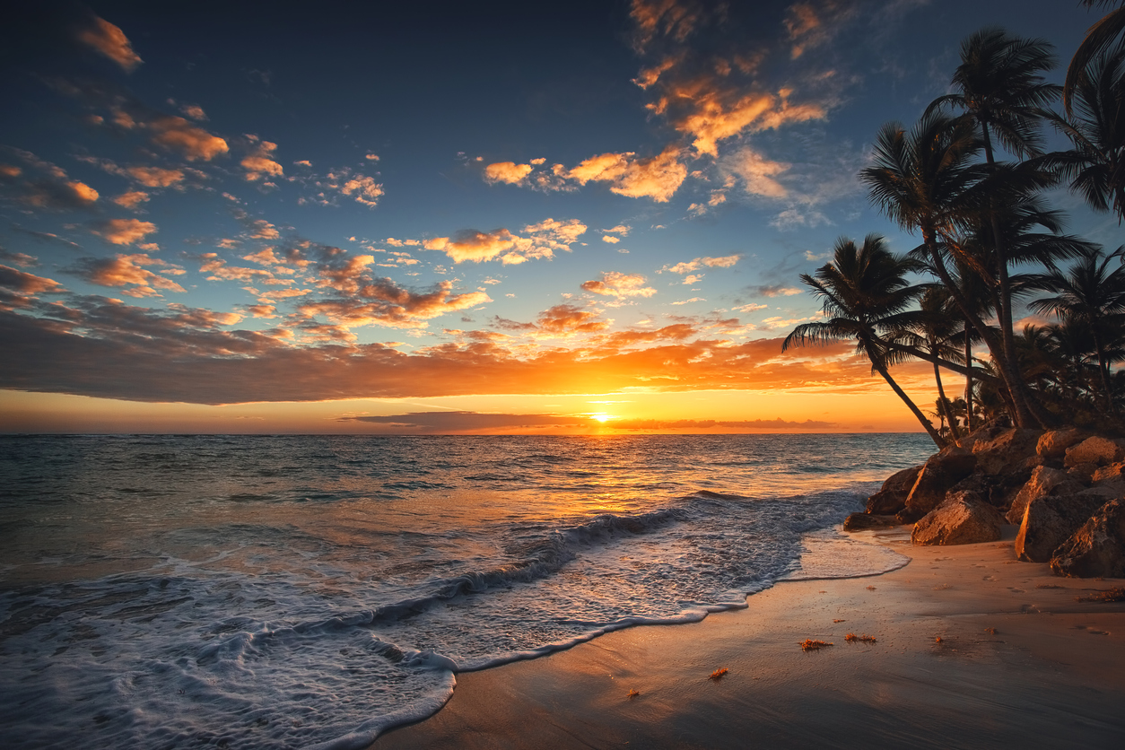 Sunset over ocean with palm trees silhouetted and waves on sandy shore.