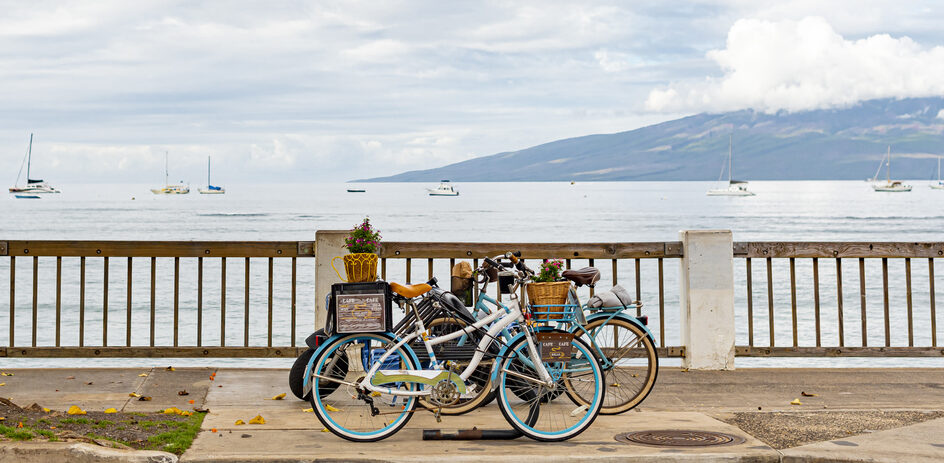 Bicycles with baskets parked by ocean, boats in distance, cloudy sky.