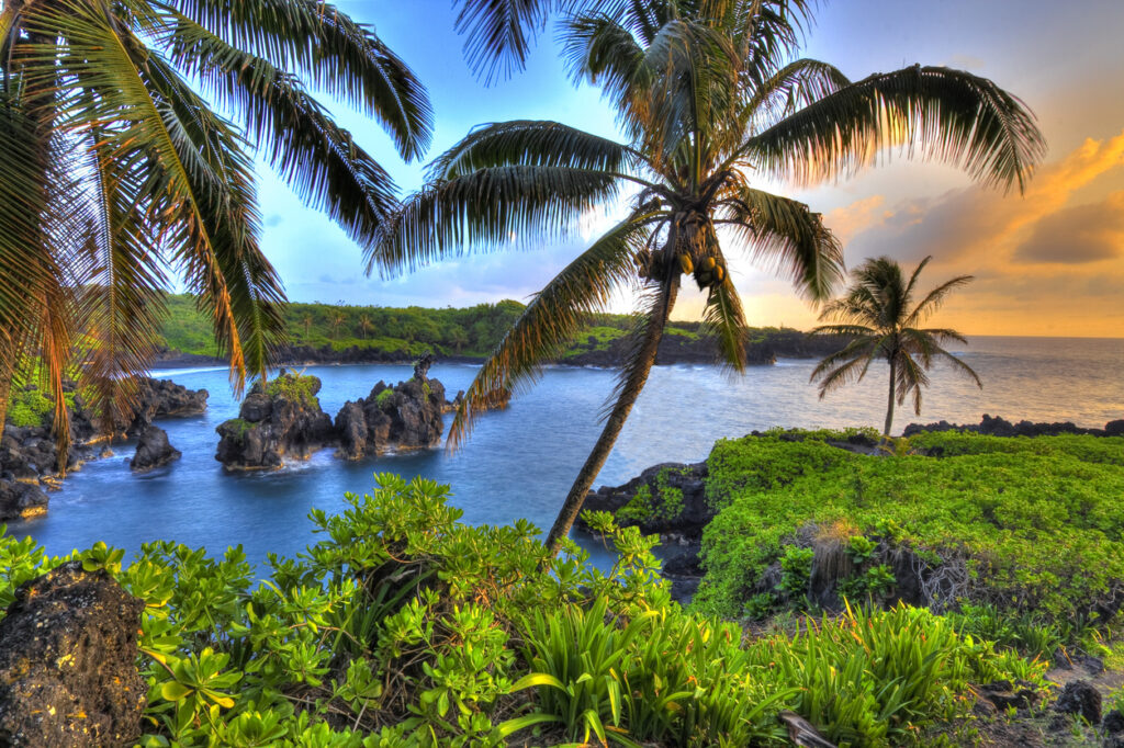 Tropical beach with palm trees, blue water, and rocky shoreline at sunset.