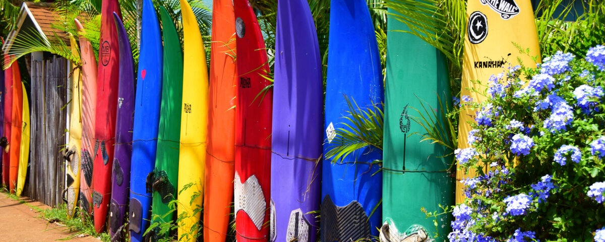 Colorful surfboards stand upright in a row next to foliage and purple flowers.
