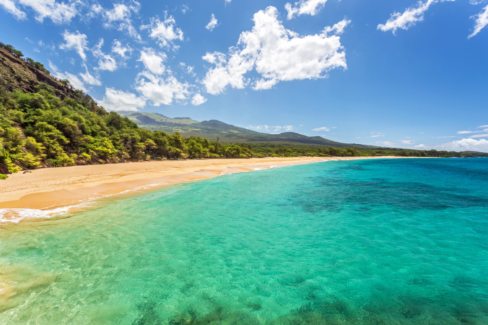 view of the beach and turquoise sea on the tropical hawaiian island of Maui